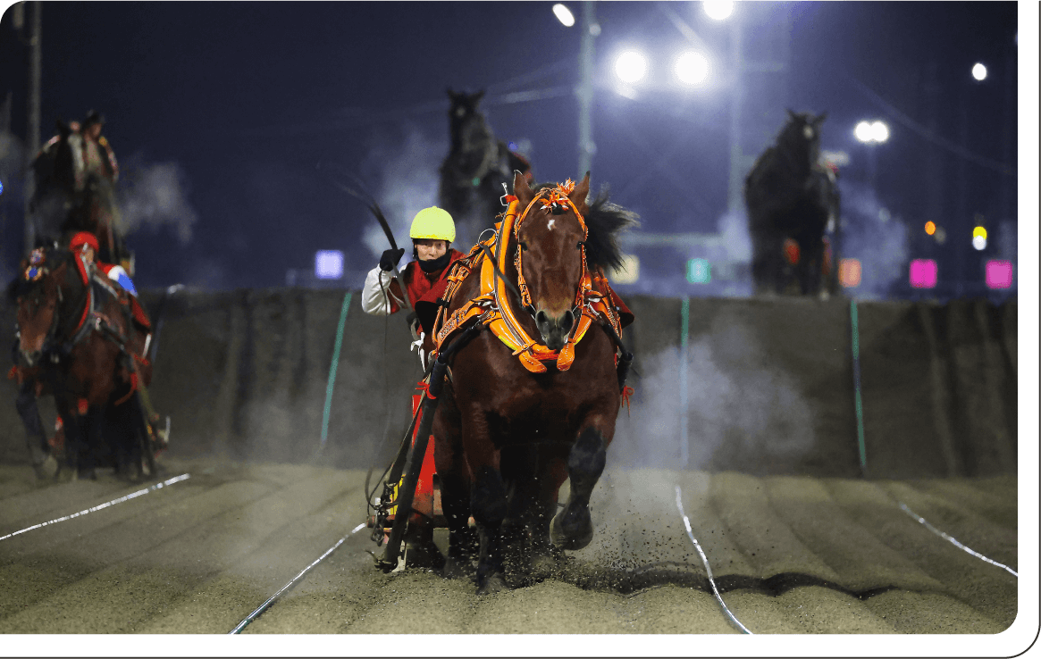 帯広競馬場　「ばんえい十勝」